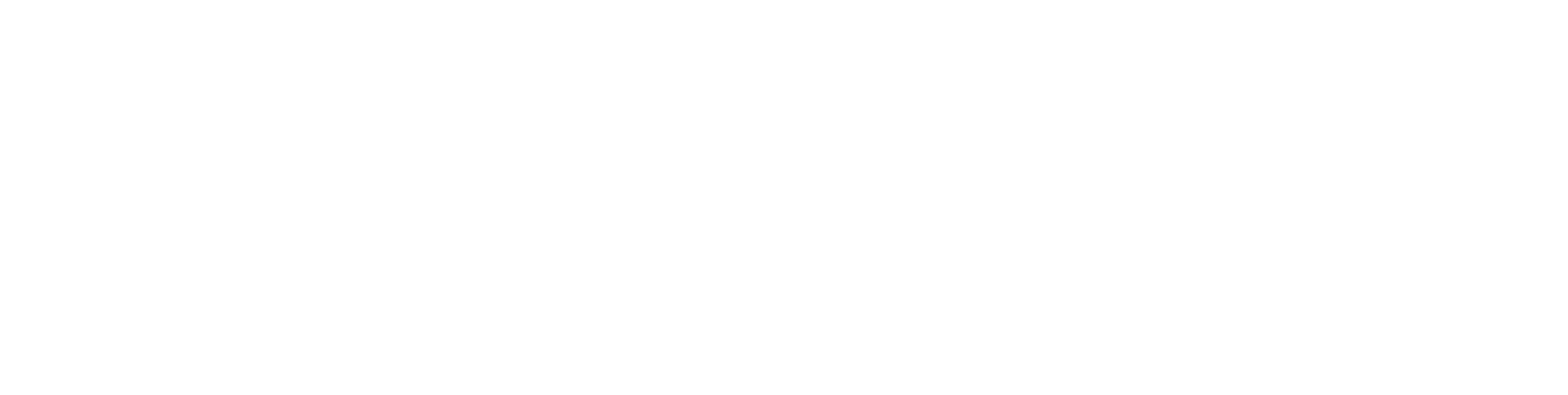 Dream Bigger Financial Logo - White